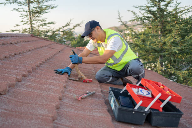 Best Metal Roofing Contractor  in East Troy, WI
